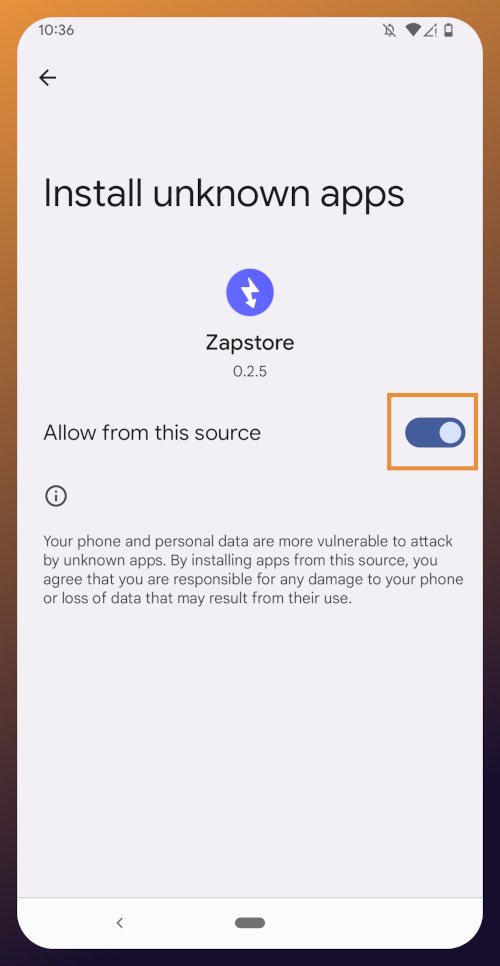 Allow Zapstore Install